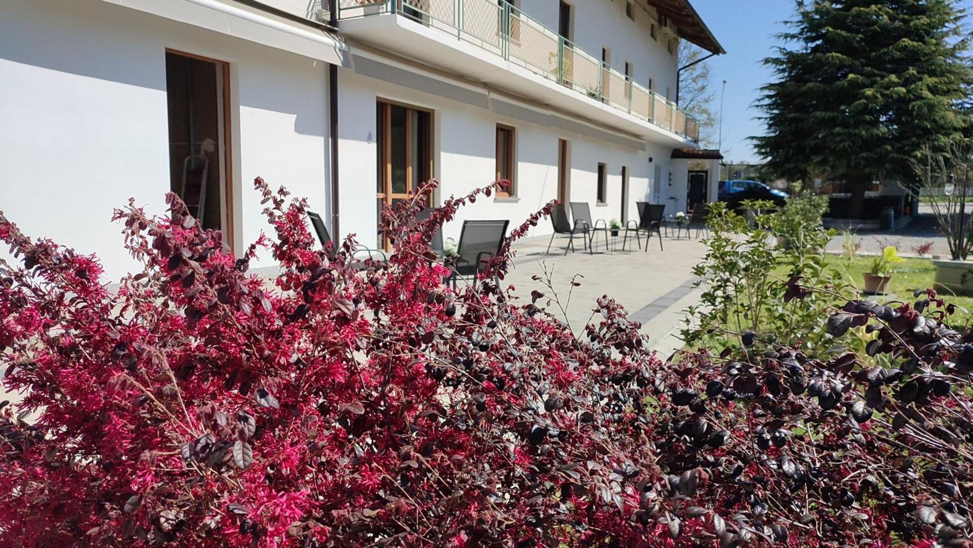 Bed and Breakfast Nautica Tarello - Casa Ena Beb Viverone Exterior foto